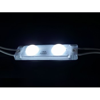 Moduł 2 LED – AC 230V 2,8W IP65